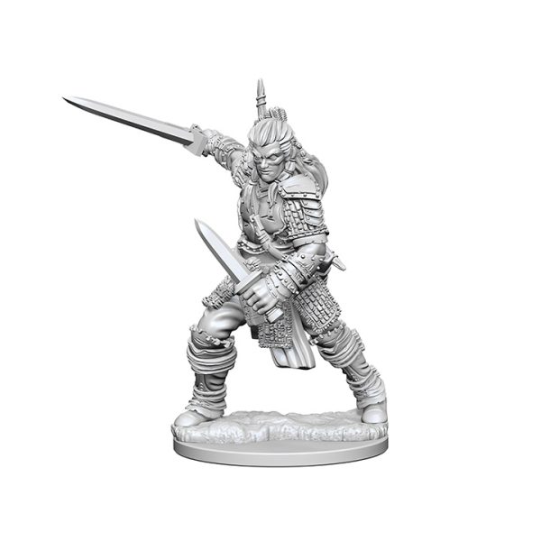 Pathfinder Deep Cuts Unpainted Miniatures: W01 Human Male Fighter - Image 2