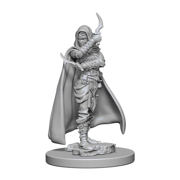 Pathfinder Deep Cuts Unpainted Miniatures: W01 Human Female Rogue - Image 2