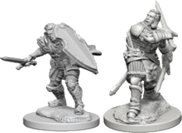 Dungeons & Dragons Nolzur`s Marvelous Unpainted Miniatures: W3 Human Male Paladin