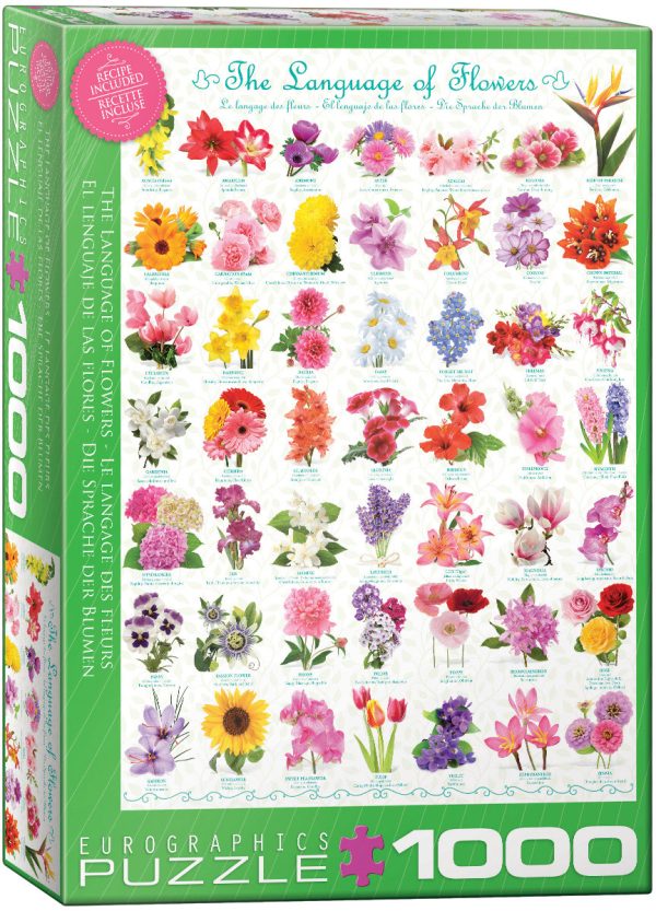 The Language of Flowers - Image 2
