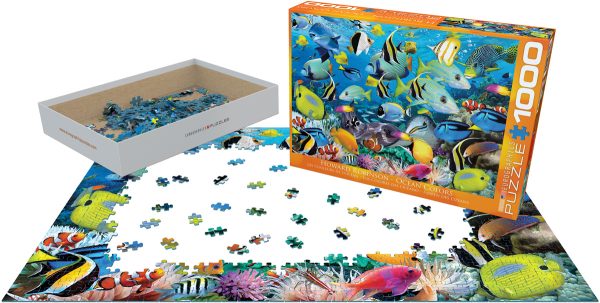 Ocean Colors - Image 2