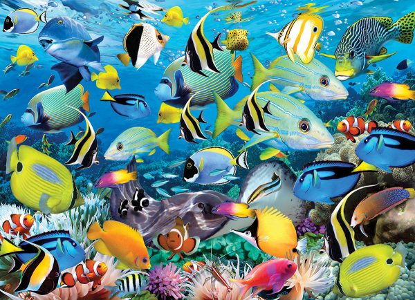 Ocean Colors - Image 3