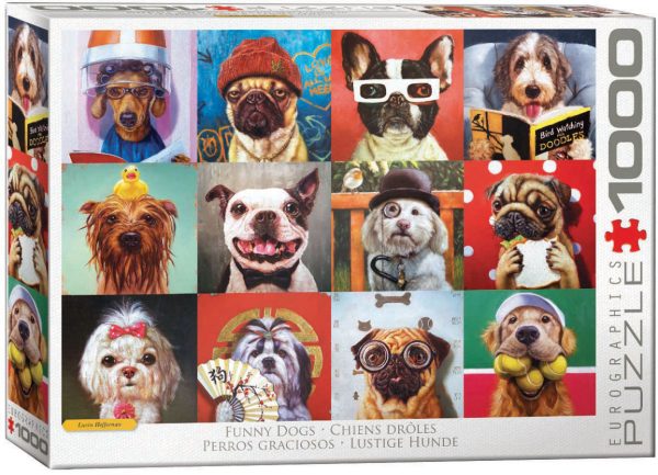 Funny Dogs