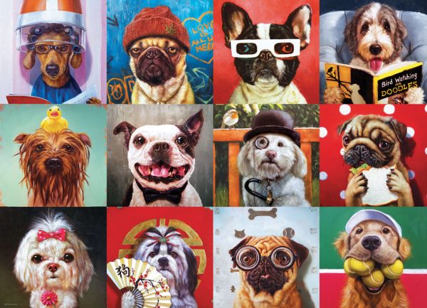 Funny Dogs - Image 5