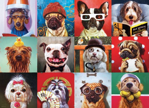 Funny Dogs - Image 3