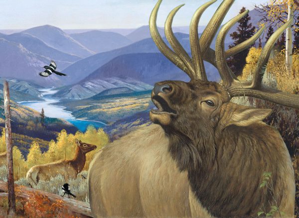 King of the Valley - Image 2