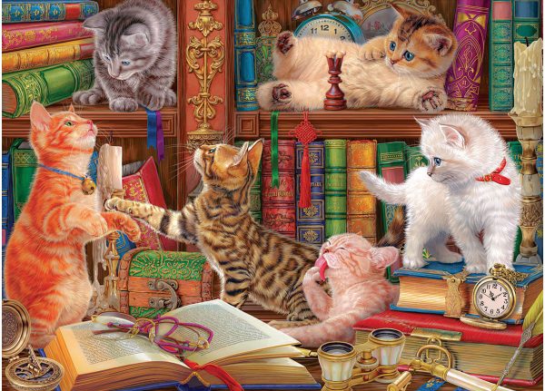 Library Kittens - Image 2