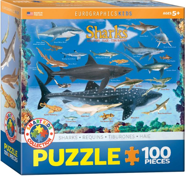 Sharks - Image 2
