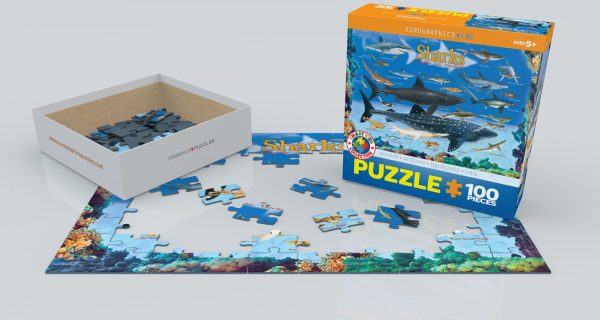 Sharks - Image 5