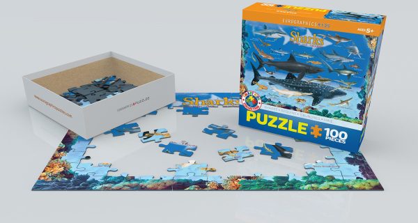 Sharks - Image 3