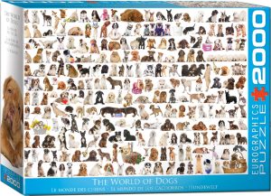 The World of Dogs