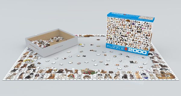 The World of Dogs - Image 3