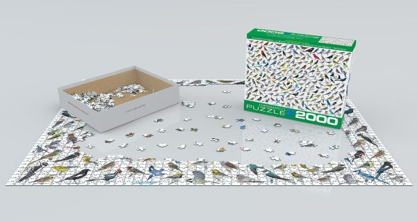 The World of Birds - Image 2
