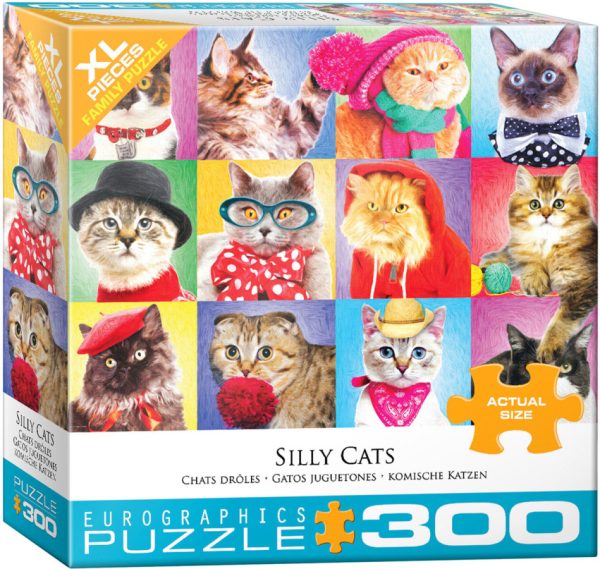 Silly Cats