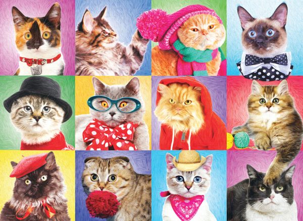 Silly Cats - Image 4
