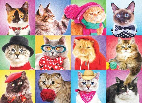 Silly Cats - Image 3