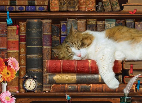 The Cat Nap - Image 5