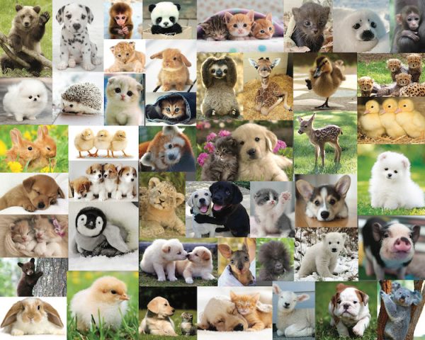 Cute, Cute, Cute by Steve Smith - Image 2