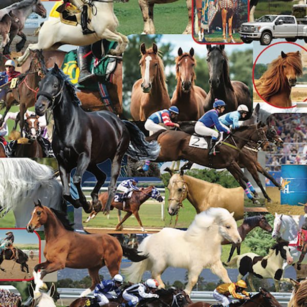 Horses, Horses, Horses by Steve Smith - Image 3