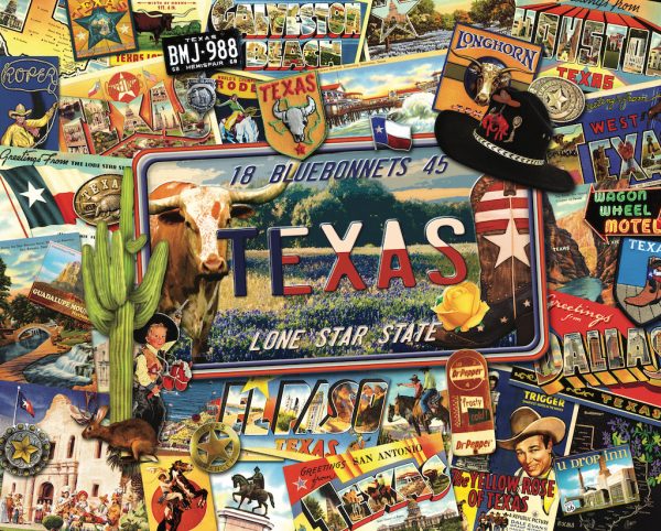 Lone Star State by Kate Ward Thacker - Image 2