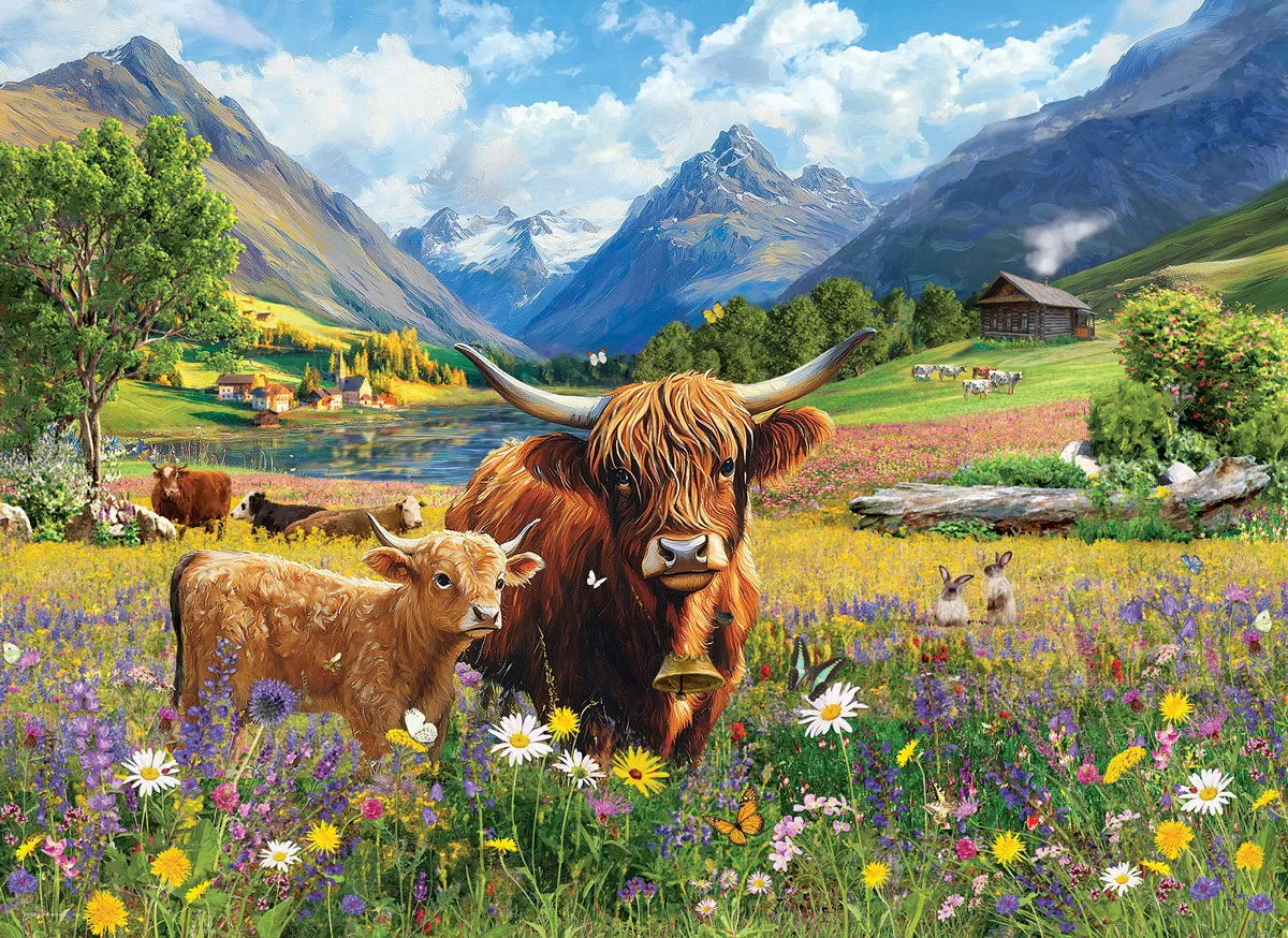 Highland Cows - Image 2