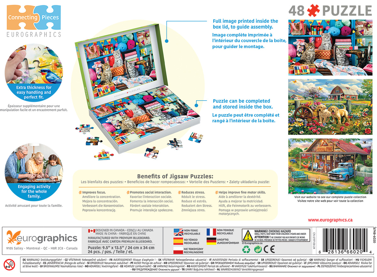 Sewing Room Kittens - Image 4