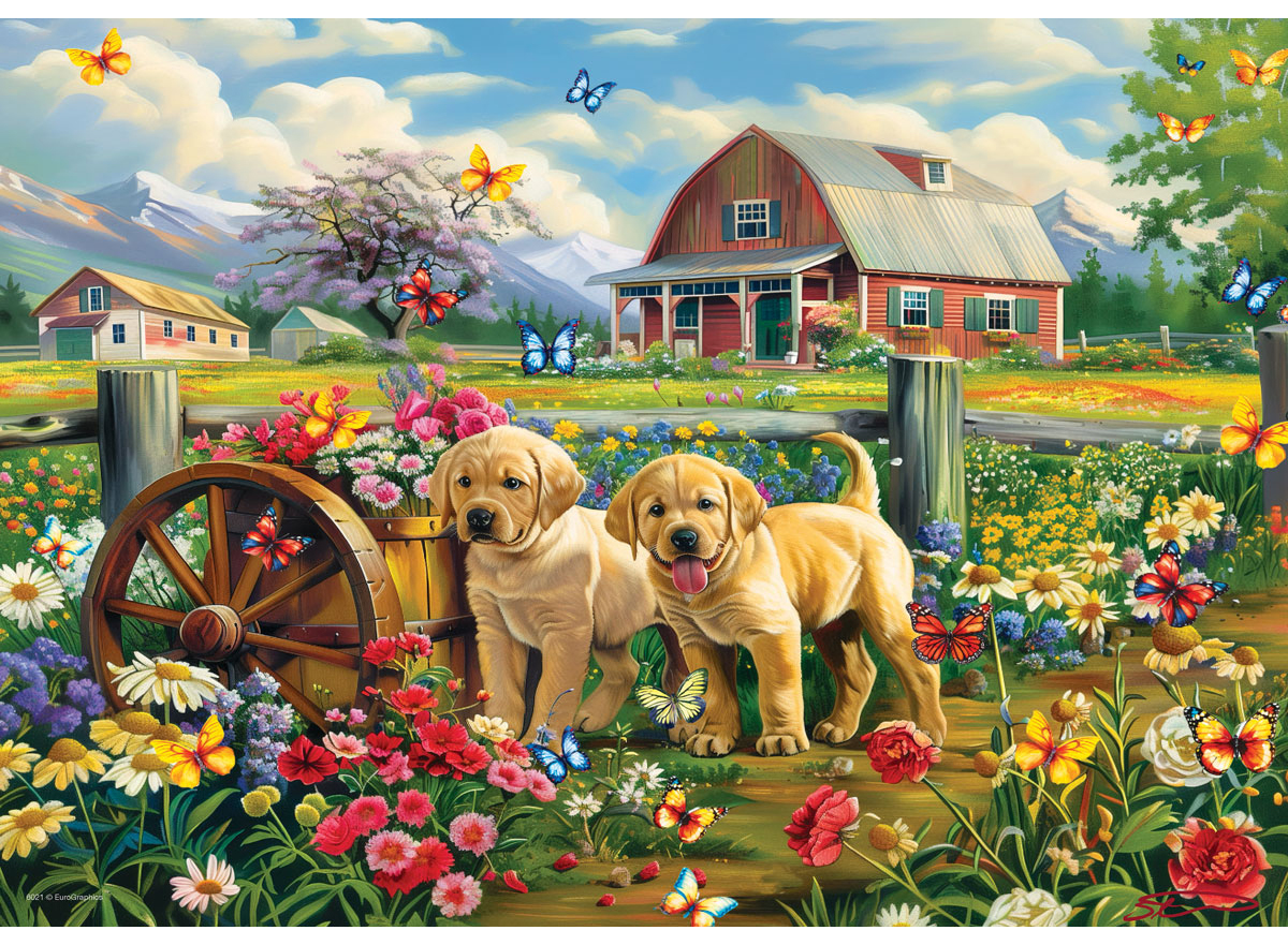 Puppy Spring - Image 2