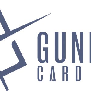 Gundam TCG: Newtype Rising Booster Display (24) (GD01)