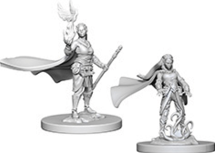 Dungeons & Dragons: Nolzur's Marvelous Unpainted Miniatures - W04 Elf Female Druid