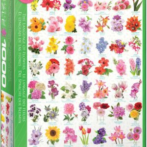 The Language of Flowers