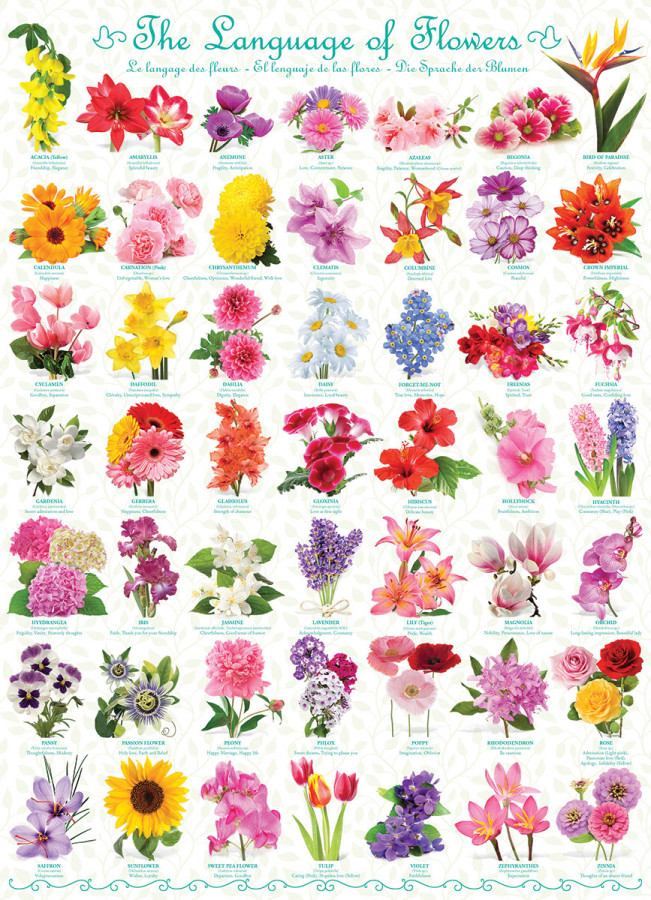The Language of Flowers - Image 6
