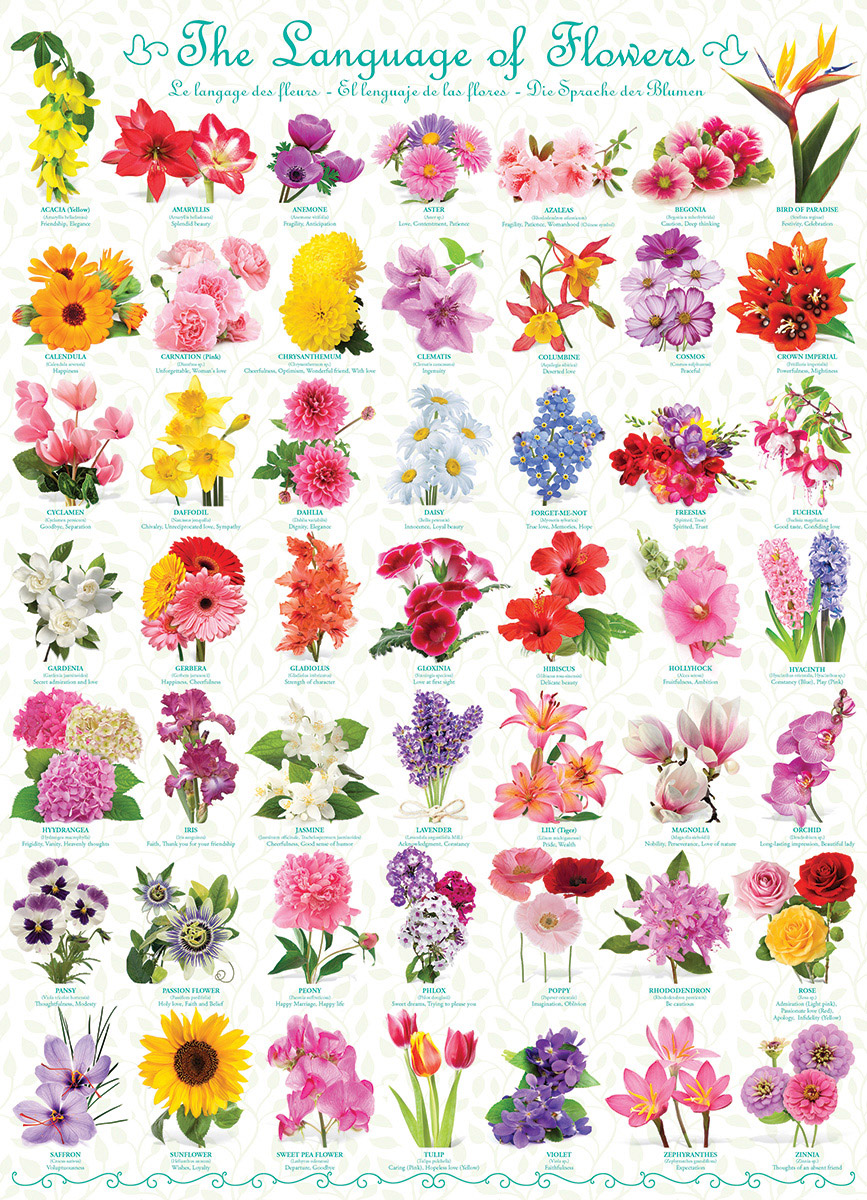 The Language of Flowers - Image 4