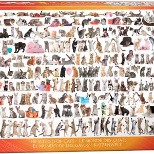 The World of Cats