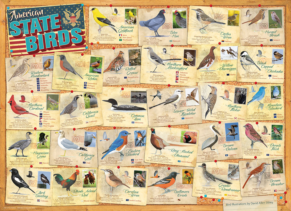 State Birds - Image 2