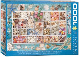 Seashell Collection