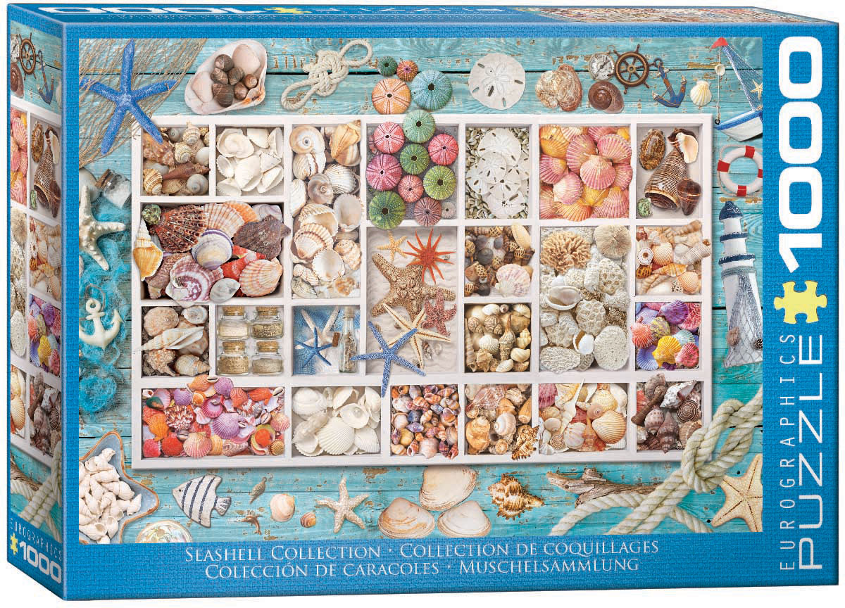 Seashell Collection