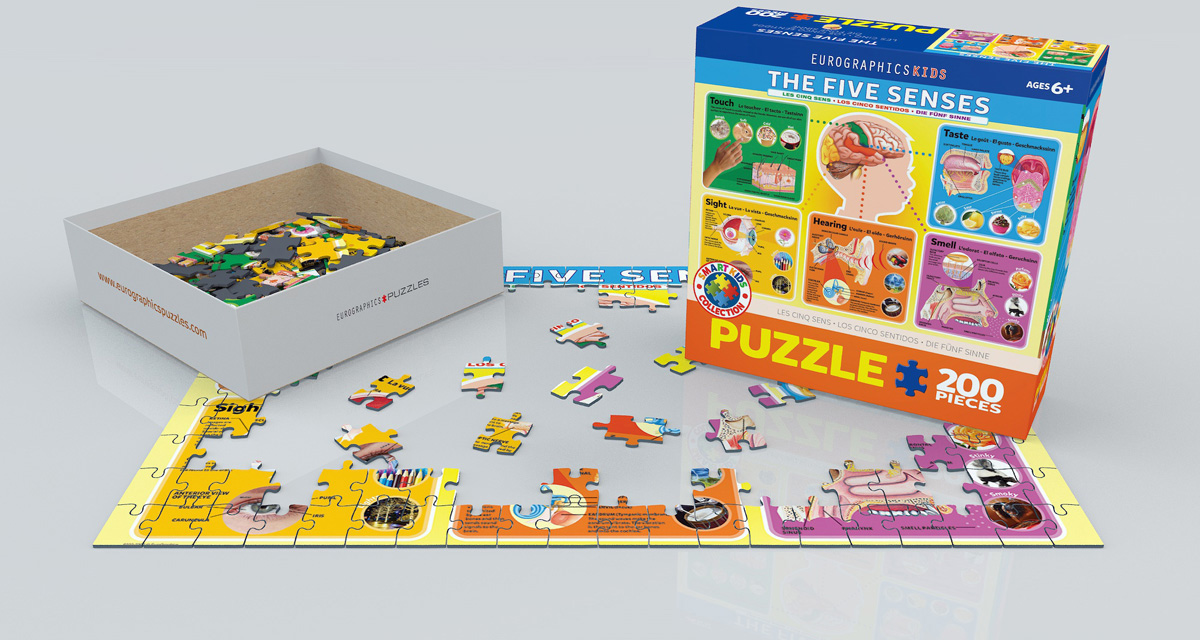 The Five Senses - Image 2