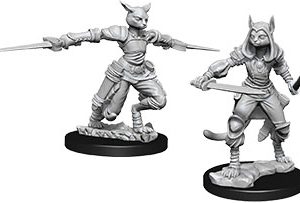 Dungeons & Dragons: Nolzur's Marvelous Unpainted Miniatures - W09 Female Tabaxi Rogue