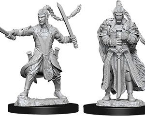 Dungeons & Dragons: Nolzur's Marvelous Unpainted Miniatures - W09 Male Elf Paladin