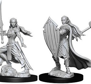 Dungeons & Dragons: Nolzur's Marvelous Unpainted Miniatures - W09 Female Elf Paladin