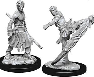 Dungeons & Dragons: Nolzur's Marvelous Unpainted Miniatures - W10 Male Half-Elf Monk