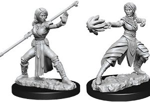 Dungeons & Dragons: Nolzur's Marvelous Unpainted Miniatures - W10 Female Half-Elf Monk