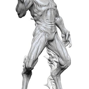 Dungeons & Dragons: Nolzur's Marvelous Unpainted Miniatures - W15 Nightwalker