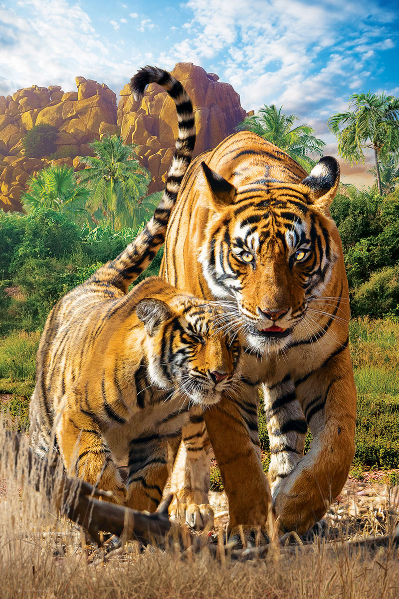 Tigers - Image 2