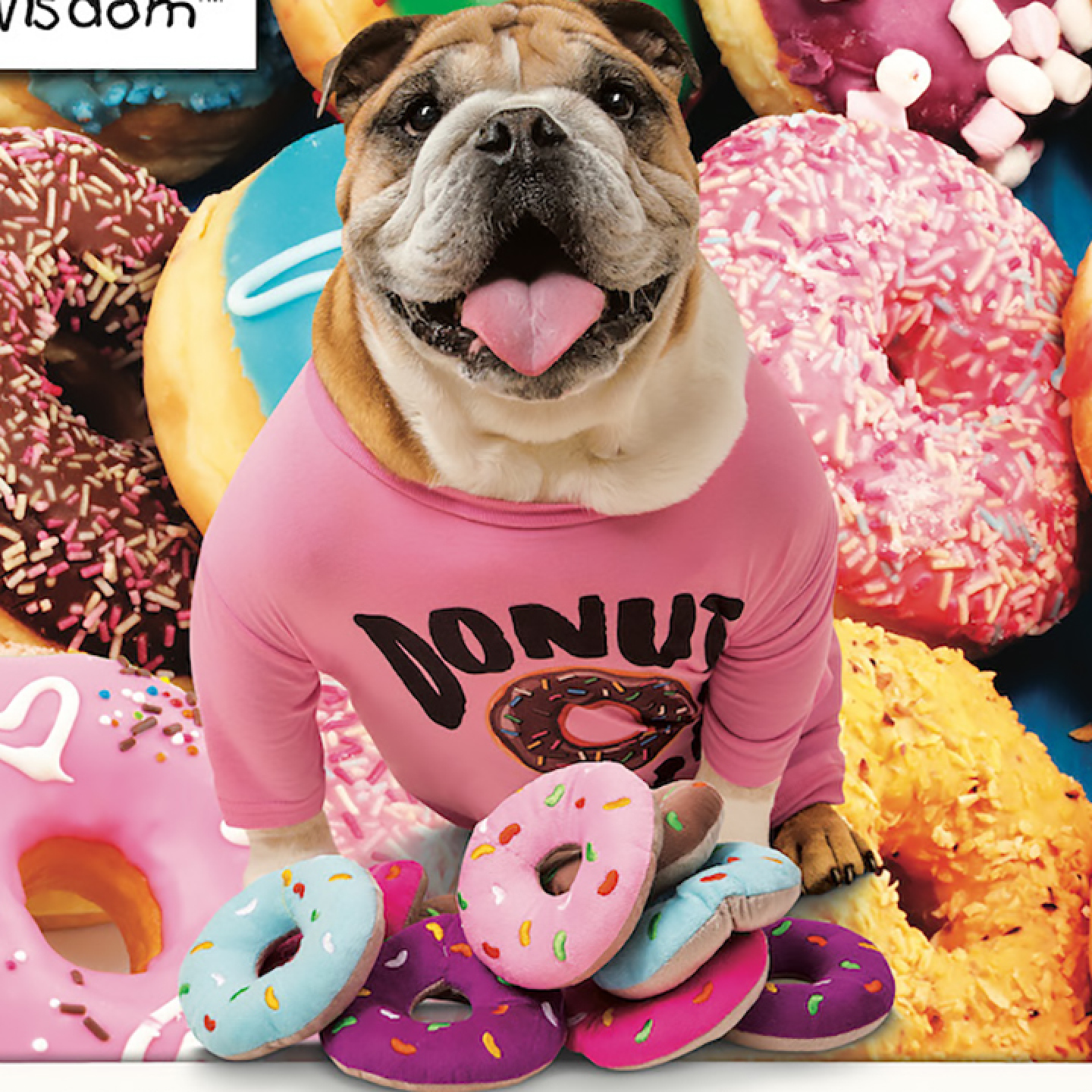 Zelda Wisdom - Hole Foods - Image 3