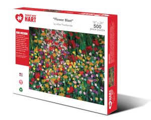 Flower Blast by Allan Friedlander