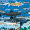 Sharks - Image 4