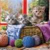 Knittin' Kittens - Image 5