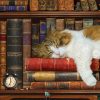 The Cat Nap - Image 5