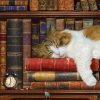 The Cat Nap - Image 3